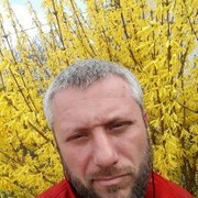  ,   , 44 ,   