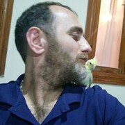  Antwerp,   , 40 ,   ,   , c 