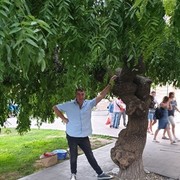 ���������� ������, ���� ������� Arny, 47 ���, ������������ ��� ������, ����� � ���������, c�������� ���������