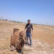  ,   Sayram, 34 ,   ,   