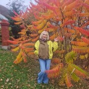 ���������� �������, ���� ������� ��������, 57 ���, ������������ ��� c�������� ���������