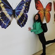  ,   , 49 ,   ,   , c 