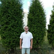 ���������� �����, ���� ������� ������, 35 ���, ������������ ��� ������, ����� � ���������, c�������� ���������