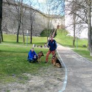  ,   , 49 ,   c 