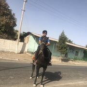 ���������� ����������, ���� ������� �������, 31 ���, ������������ ��� ������, ����� � ���������, c�������� ���������