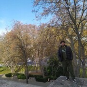 ���������� ���������������, ���� ������� ��������, 31 ���, ������������ ��� ������, ����� � ���������, ���������