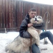 ���������� ����������, ���� ������� �������, 32 ����, ������������ ��� c�������� ���������