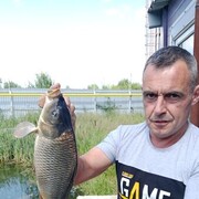 ���������� �������������, ���� ������� ˸��, 47 ���, ������������ ��� ����� � ���������, c�������� ���������, ���������