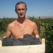 ���������� �����, ���� ������� ���, 55 ���, ������������ ��� ����� � ���������, c�������� ���������