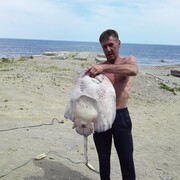 ���������� ����-���������, ���� ������� ����, 48 ���, ������������ ��� ������, ����� � ���������