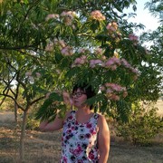  ,   , 42 ,   ,   , c 
