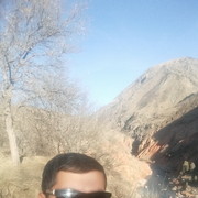  ,   NODIR, 37 ,  