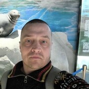 ���������� �����������, ���� ������� ���������, 44 ����, ������������ ��� ������, ����� � ���������, c�������� ���������, ���������