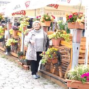  Chorzow,   , 58 ,   ,   
