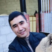  ,  doni, 33