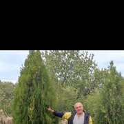  --,   , 63 ,   ,   , c 