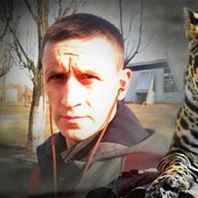  ,   Olek, 44 ,   ,   , c 