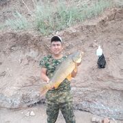 ���������� ������, ���� ������� ������, 45 ���, ������������ ��� c�������� ���������