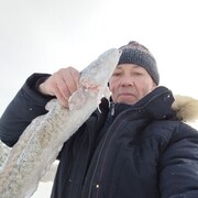 ,   , 51 ,     , c 