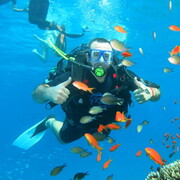 ���������� ������ ��������, ���� ������� ���, 33 ����, ������������ ��� ������, ����� � ���������, c�������� ���������, ���������