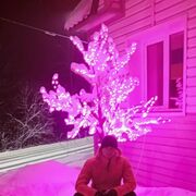  ,   Maxim, 35 ,   ,   