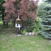  ,   , 43 ,  
