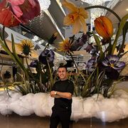 ���������� �����, ���� ������� Muro, 44 ����, ������������ ��� ������, ����� � ���������, c�������� ���������