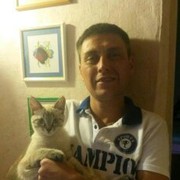  ,   , 43 ,     , c 