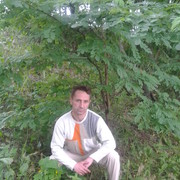  ,   , 51 ,   