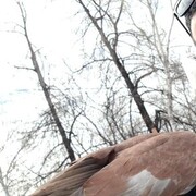 ���������� ������, ���� ������� ���, 27 ���, ������������ ��� ������, ����� � ���������