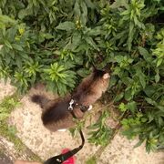 ���������� �������, ���� ����� ����, 24 ����, ������������ ��� c�������� ���������