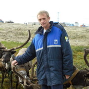 ���������� ����������, ���� ������� ��������, 52 ����, ������������ ��� ����� � ���������, c�������� ���������, ���������