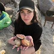 ���������� ������, ���� ������� �������, 31 ���, ������������ 