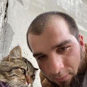 ���������� �����, ���� ������� ���������, 32 ����, ������������ ��� ������, c�������� ���������