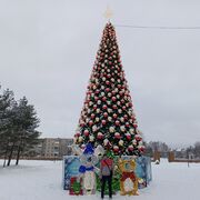 ���������� �����������������, ���� ������� ������, 37 ���, ������������ ��� c�������� ���������, ���������