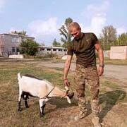 ���������� ������, ���� ������� ������, 33 ����, ������������ ��� ������, ����� � ���������