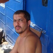  ,   Hasan, 50 ,     , c 