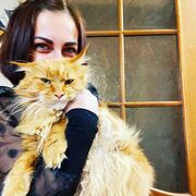 ���������� ������-��-����, ���� ������� ��������, 42 ����, ������������ ��� ������, ����� � ���������