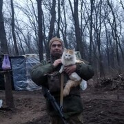 ���������� ��������, ���� ������� ��������, 49 ���, ������������ ��� ������, ����� � ���������, ���������