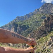 ���������� ���������, ���� ������� ���������, 38 ���, ������������ ��� c�������� ���������