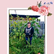  -,   , 52 ,   ,   , c 