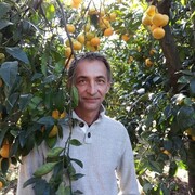 ���������� �����, ���� ������� ���������, 62 ����, ������������ ��� c�������� ���������