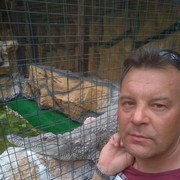 ���������� ��������, ���� ������� ������, 50 ���, ������������ ��� ������, ����� � ���������, c�������� ���������, ���������