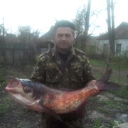 ���������� �������, ���� ������� ������, 52 ����, ������������ ��� ������, ����� � ���������