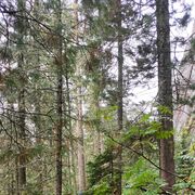 ���������� ����������, ���� ������� �������, 52 ����, ������������ ��� ������, ����� � ���������, c�������� ���������