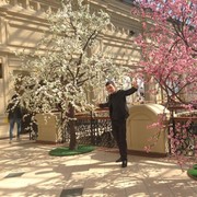 ���������� ������������, ���� ������� ����, 31 ���, ������������ ��� ������, ����� � ���������, c�������� ���������