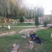  ,   994507631986, 41 ,   ,   , c 