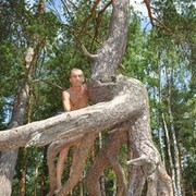 ���������� �����-���������, ���� ������� ������, 59 ���, ������������ ��� ������, ����� � ���������, c�������� ���������, ���������