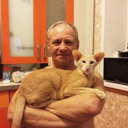  ,   , 59 ,   ,   , c 