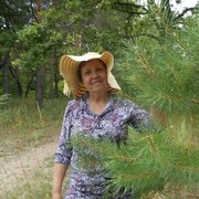 ���������� ��������, ���� ������� �����, 71 ���, ������������ ��� ������, ����� � ���������